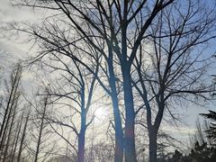 -国家植物园南园