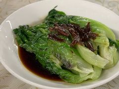 -百利鸽王(紫薇路店)