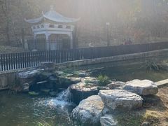 -白水寺森林公园