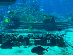 -三亚海棠湾万丽度假酒店