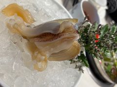 小象鼻蚌-围炉夜话·潮汕卤水火锅(榕江店)