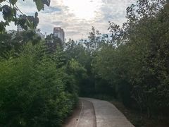 -绿岛公园(滨海新区)