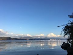 -才村湿地公园