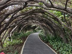 -广西壮族自治区药用植物园