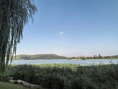 -南京市无想山景区