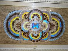 -上海昆虫博物馆