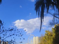 -西宁市人民公园(城西区)