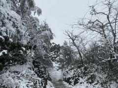 -廖哥泡椒兔(峨眉店)