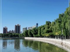-莲花池公园