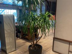-久宴·天目湖大鱼头(恐龙园店)