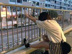 -彩虹村