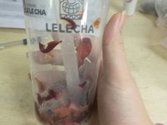 -LELECHA乐乐茶(上海五角场万达广场店)