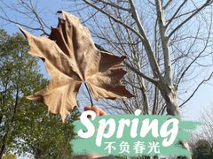 -太平老街