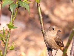 -广州市流溪河国家森林公园