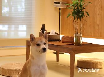 57㎡秒变三室，可以在家开Party的松下日式之家