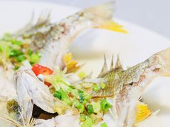 -有腥气私房菜·寻味顺德