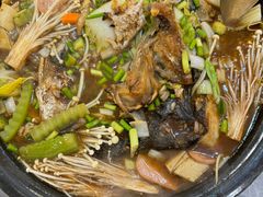 -探鱼·鲜青椒爽麻烤鱼(正佳广场店)