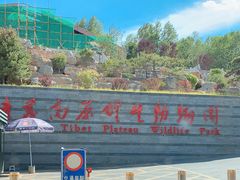 -青藏高原野生动物园