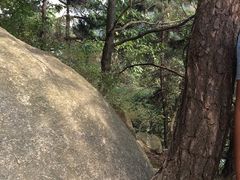 -沂蒙山旅游区云蒙景区(蒙山国家森林公园)