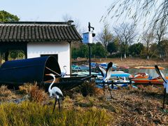 -梁鸿国家湿地公园