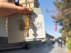 -大慈恩寺(大雁塔)