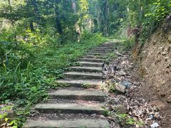 -素山寺森林公园