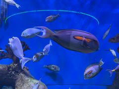 -多彩贵州城极地海洋世界