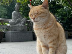 -福州开元寺