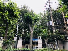 -上海市肺科医院(延庆路门诊)