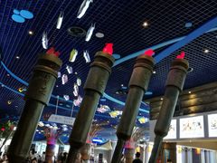 -华夏文旅海洋公园