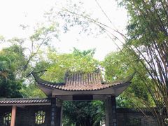 -广西壮族自治区药用植物园