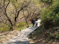 -金龙寺国家森林公园
