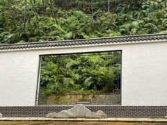 -滴水岩森林公园