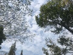 -敬亭山风景名胜区