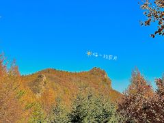-图们口岸
