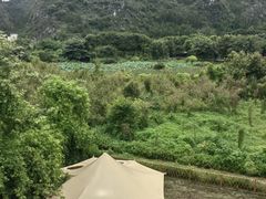 -万峰林风景区