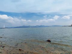 -深圳湾公园(南山区)