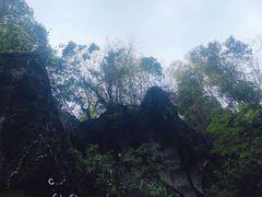 -寻龙山风景旅游区