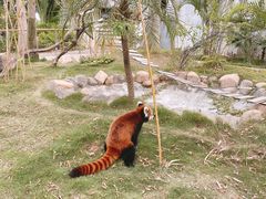 -灵玲国际马戏城
