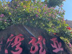 -亚龙湾热带天堂森林公园