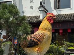 -头上红煨盐鸡·非遗院子餐厅