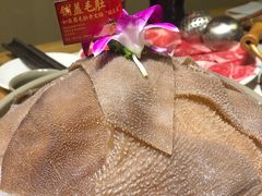 -如在蜀毛肚老火锅(怀柔店)