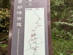 -阳台山自然风景区
