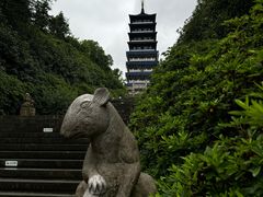 -宜兴龙背山森林公园