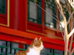 -北京颐和宾馆