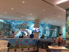 -帝企鹅自助餐厅•儿童岛•真企鹅(长隆企鹅酒店)