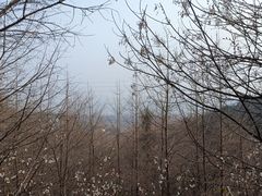 -西湖风景区-江洋畈生态公园