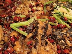 -老板恋上鱼(印象城店)