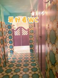 -好看加白色房子