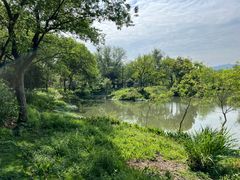 -西溪国家湿地公园